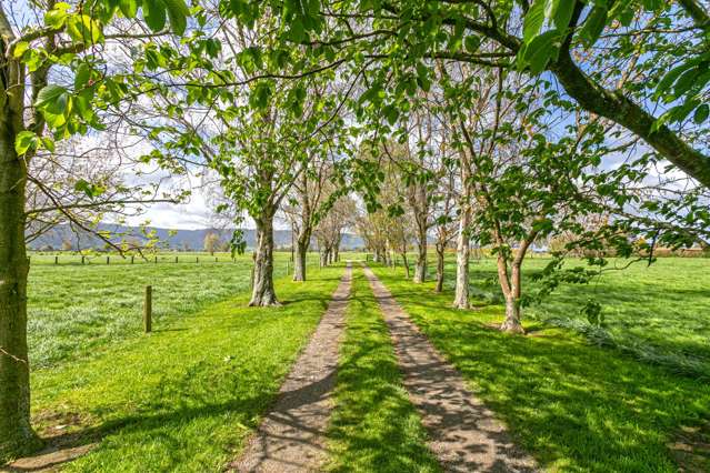 211 Maiseys Road Waharoa_4