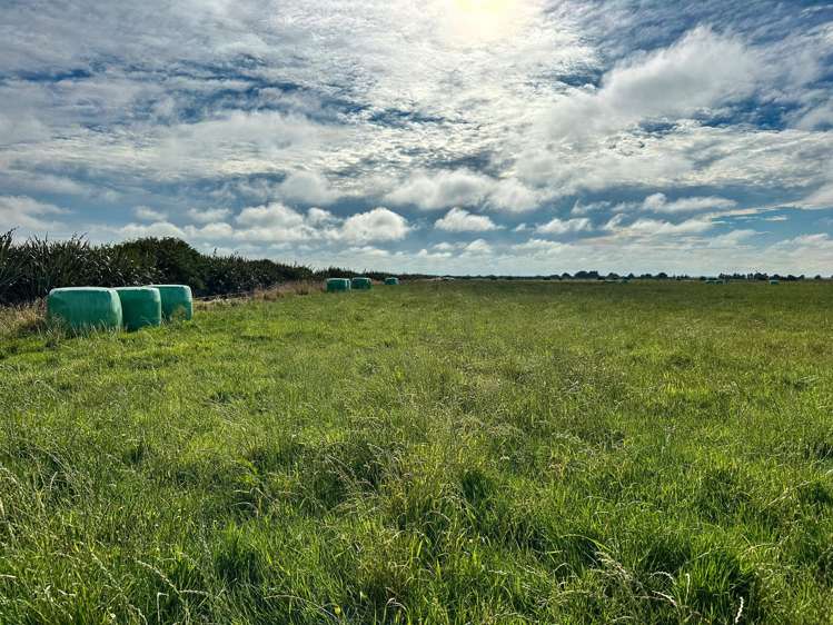 1025 Waimatuku Bush Road Taramoa_7