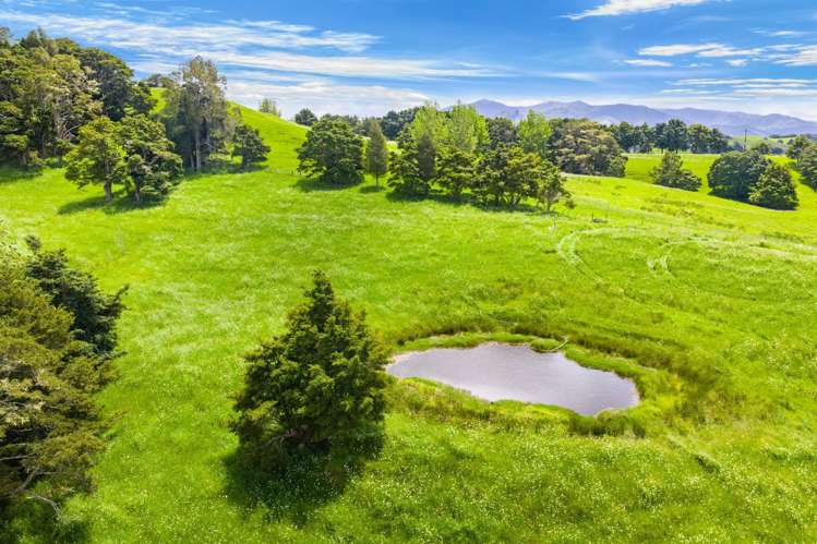 Norvil Road Titoki_7