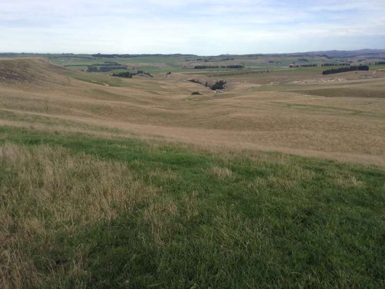 422 Earthquake Road Duntroon_6