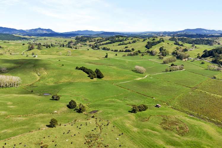 282B Callaghan Road Maromaku_36