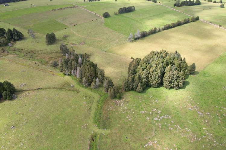 503 Puhipuhi Road Whakapara_39