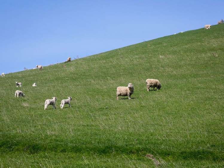 247 Main South Road East Taieri_18