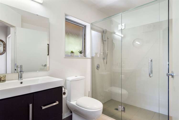 51b Belfast Street Hillsborough_13