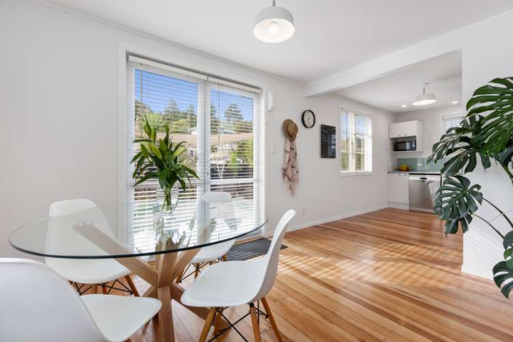 7 Camden Street Vogeltown_3