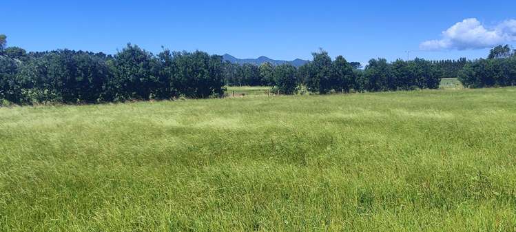 Lot 1 Kaihihi Road Okato_7