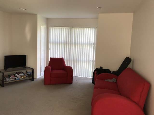 205 Porchester Road Takanini_4