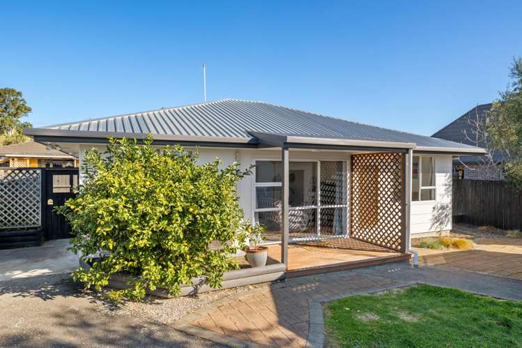 17A Cashmere Grove Witherlea_14