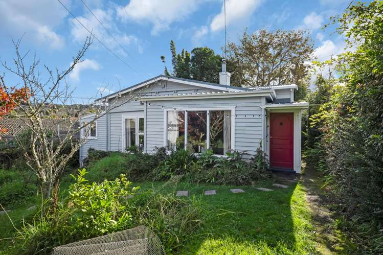 117 Hutchinson Avenue New Lynn_23