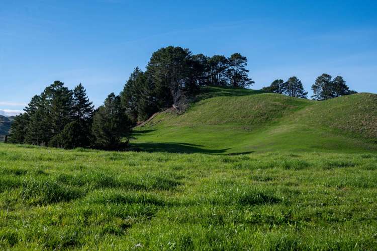 617 Dunkirk Road Atiamuri_29