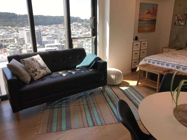 Studio with stunning views