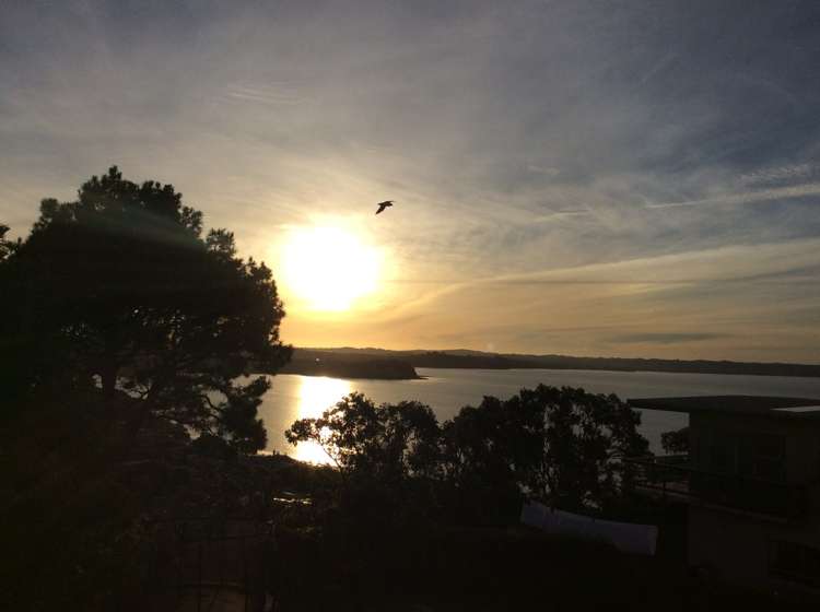 27a Roberts Road Matakatia_22