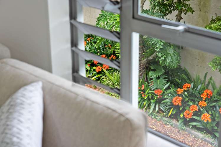 4/17 Auburn Street Grafton_8