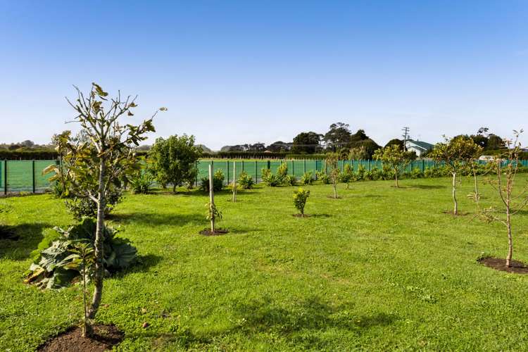 239 Whakamara Road, Manutahi Hawera_19