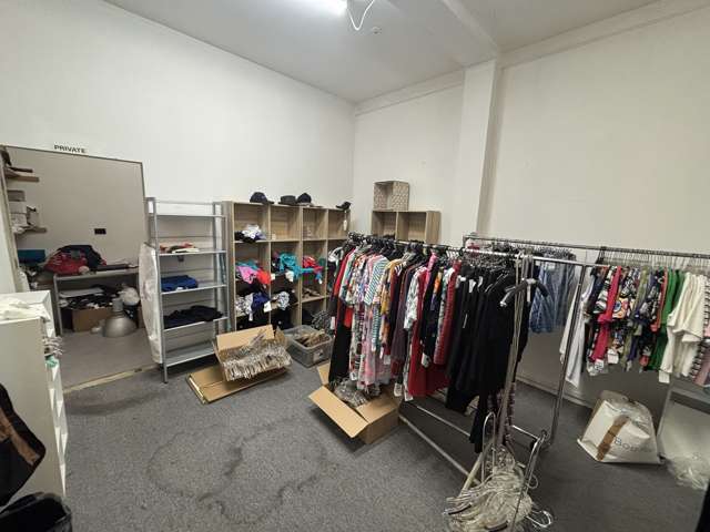 West Unit, 220 Jackson Street Petone_4