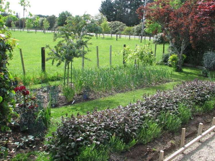 90 Chamberlain Road Upper Plain_14