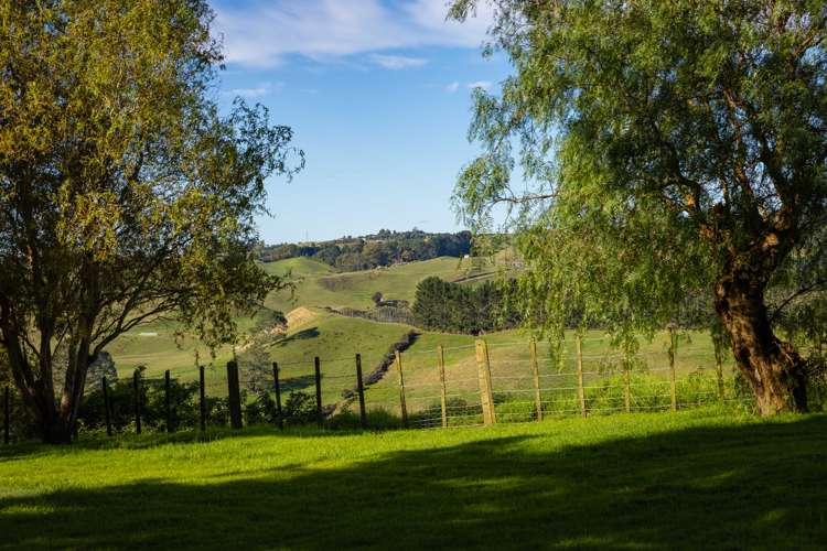 119 Hereford Road Oropi_26