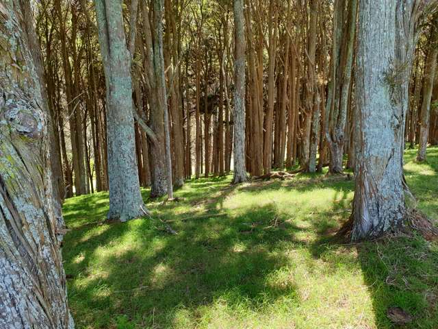 Lot 5/198 Griffin Road Maungaturoto_2