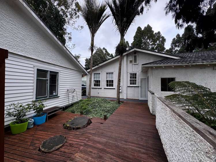 49 Kohu Road Titirangi_1