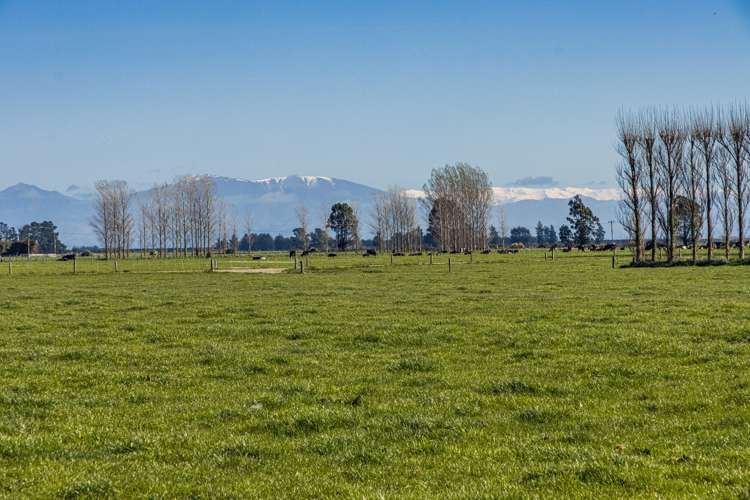 94 Brogdens Road Lowcliffe_10