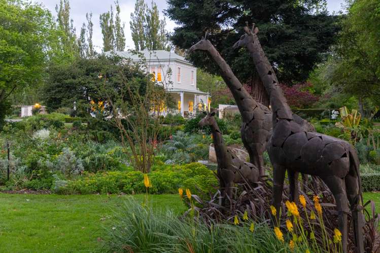 914 Napier Road Whakarongo_7