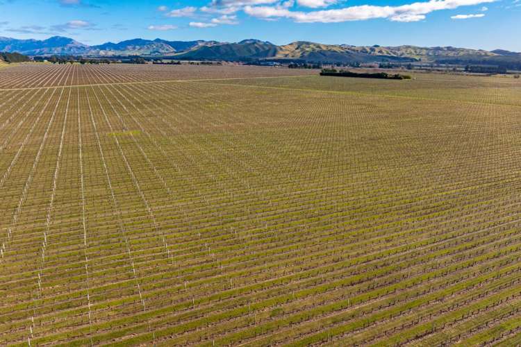 787 Seaview Road Seddon_19