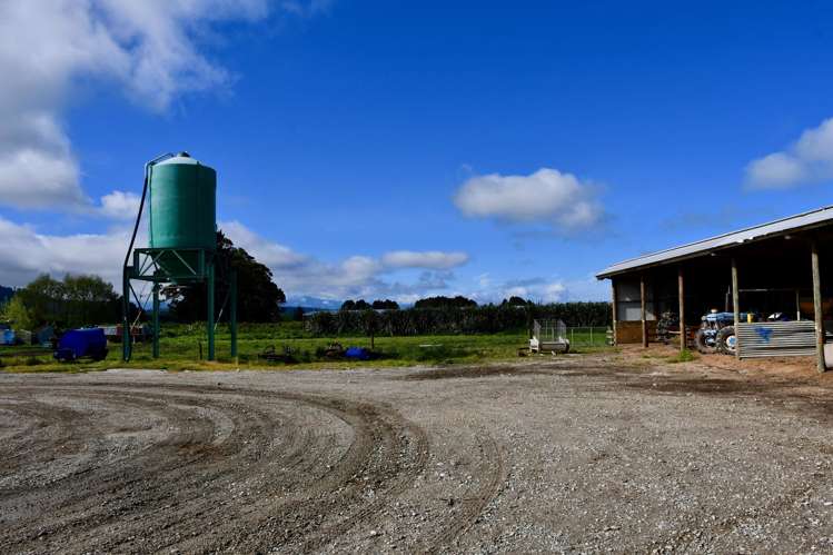 302 Kohaihai Road Karamea_18