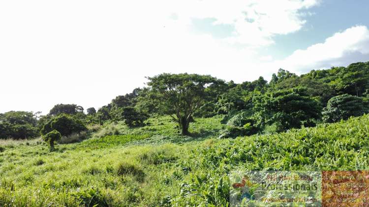 Address withheld Taveuni_7