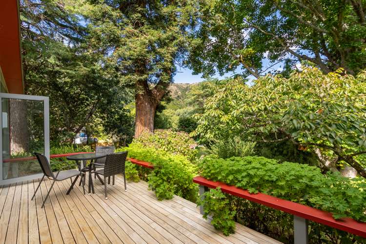 100 Leinster Avenue Raumati South_11