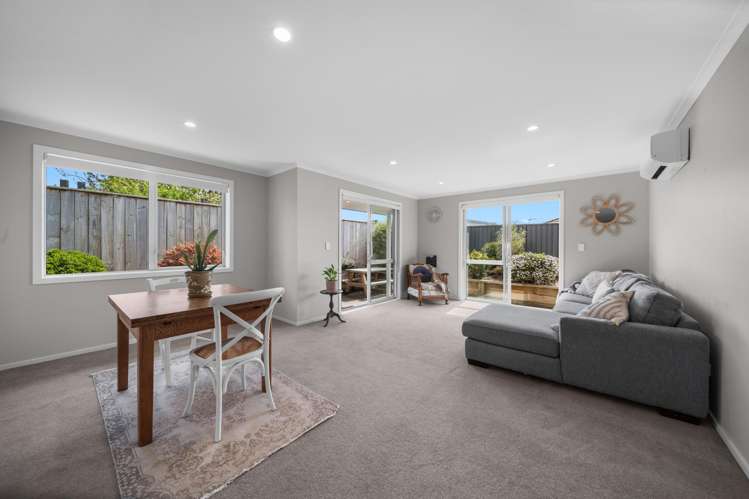 10 John McDonald Mews Masterton_4