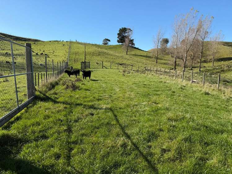 196 Ngapaeruru Rd Dannevirke_13