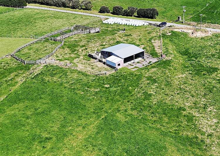 413a Baylys Coast Road Dargaville_13