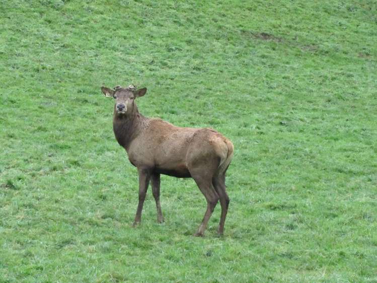 25 Keenan Road Tuatapere_22