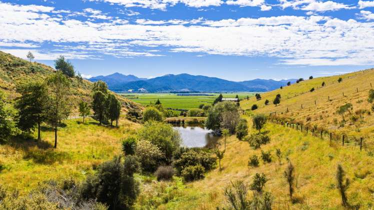 669 State Highway 63 Renwick_11