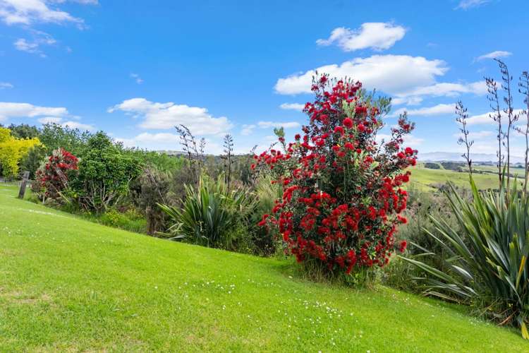 24A & 20 Wood Pigeon Lane Mangawhai_3