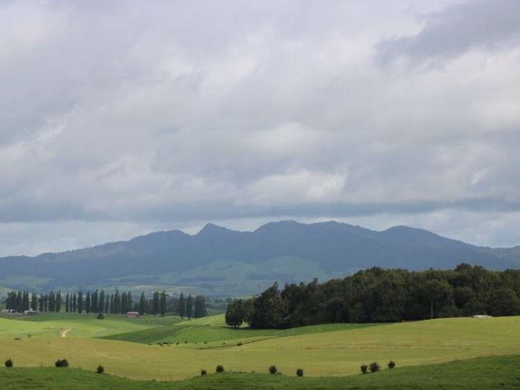 1190 Lake Arapuni Road Putaruru_8