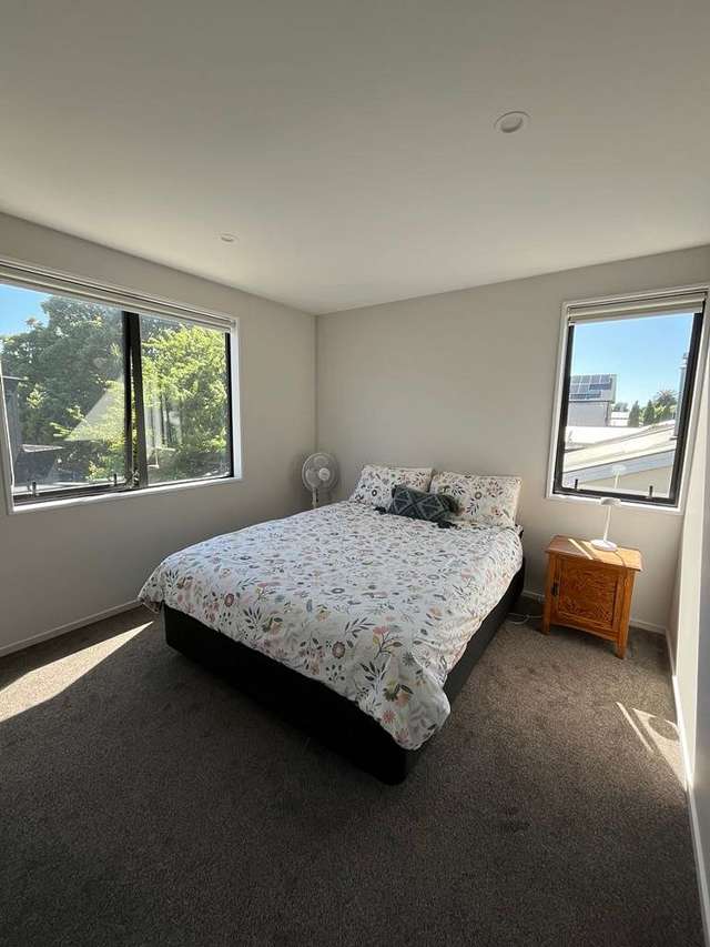 94 Strickland Street Sydenham_2