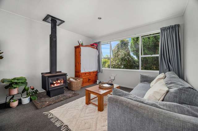 45 Collie Drive Pukehangi_3