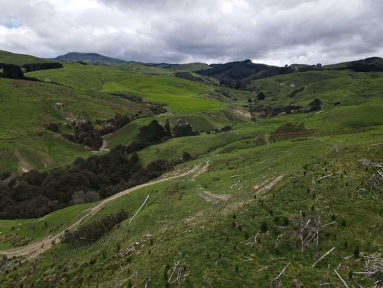 2256 Weber Road Dannevirke_19