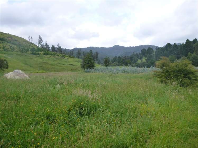 336 Wentworth Valley Road Whangamata_24