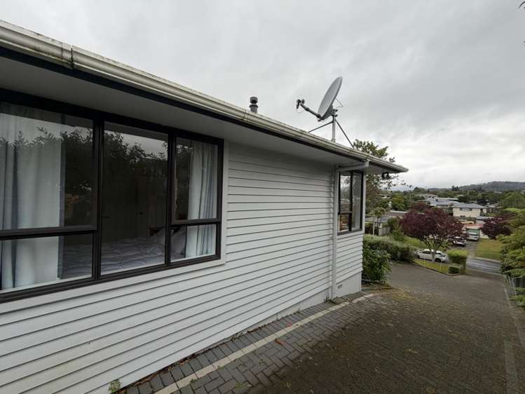 20 Nikau Street Springfield_16