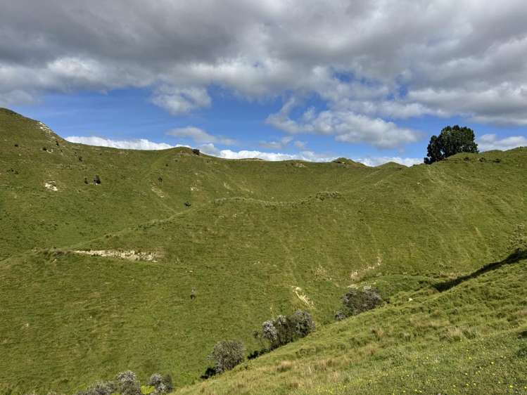 213 Parihauhau Road Parikino_18