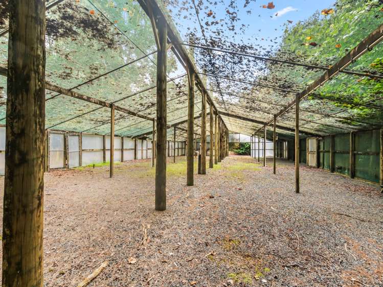 412 Kerikeri Road Kerikeri_24