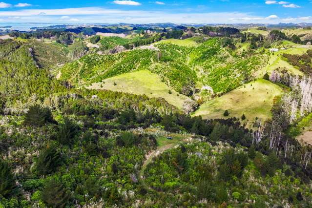 Lot 3 Radiata Road Warkworth_4