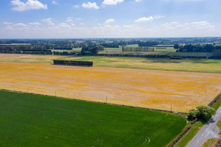 Selwyn Lake Road Leeston_10