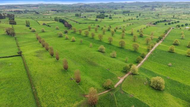 18 Pond Road Matamata_3