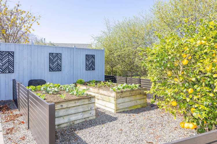 50 Woodlands Lane Te Awamutu_37