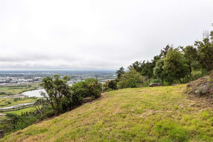 184 Major Hornbrook Road Mount Pleasant_3