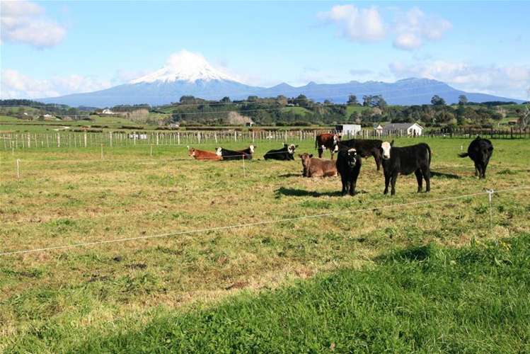 318c Manutahi Road Lepperton_6