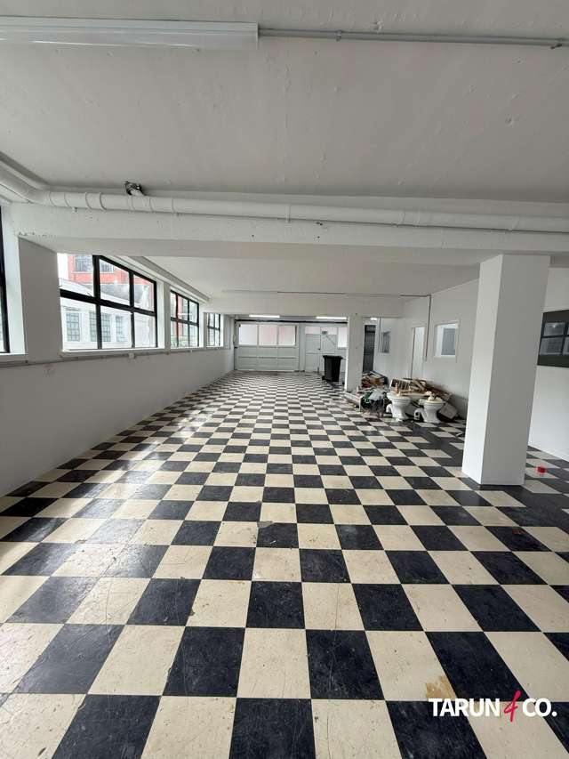 21 Karaka Street Eden Terrace_1